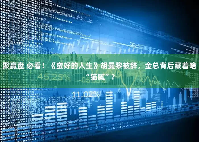 聚赢盘 必看！《蛮好的人生》胡曼黎被辞，金总背后藏着啥“猫腻”？