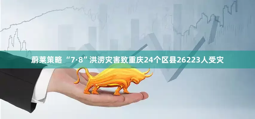 蔚莱策略 “7·8”洪涝灾害致重庆24个区县26223人受灾