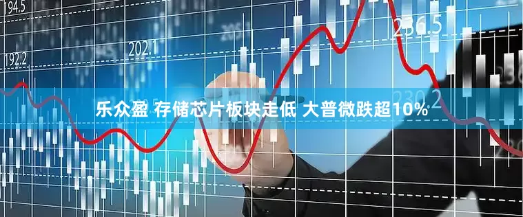 乐众盈 存储芯片板块走低 大普微跌超10%